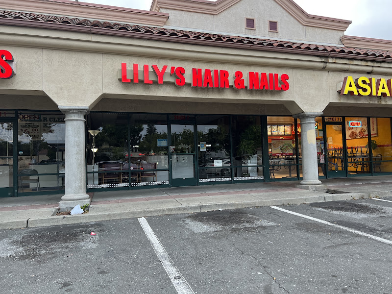 Lily's Hair & Nails 2
