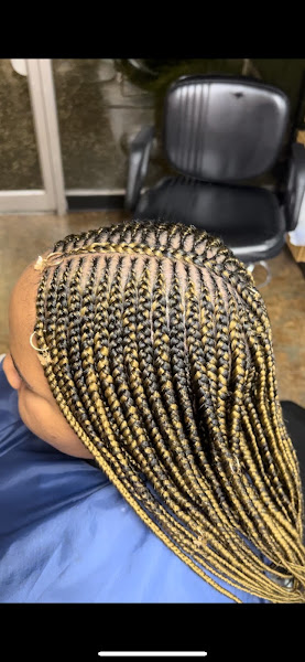 Charlotte Beauty Braids