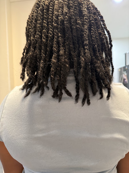 Charlotte Beauty Braids 3