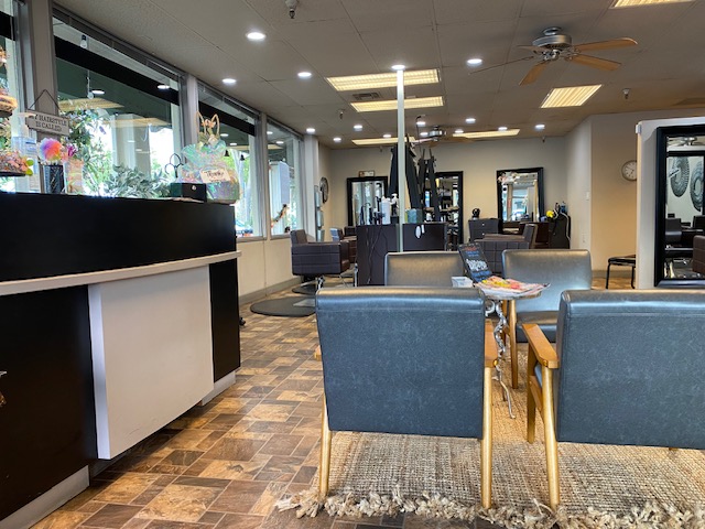 Justin Michael's Salon 2
