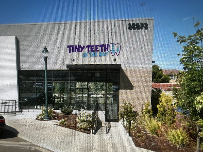 Tiny Teeth of the Bay Pediatric Dentistry 2