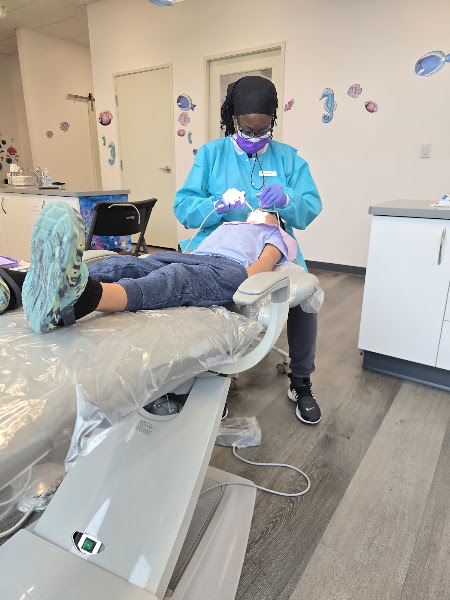 Tiny Teeth of the Bay Pediatric Dentistry 3
