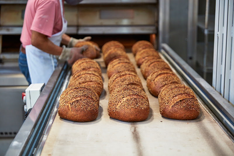Starter Bakery 5