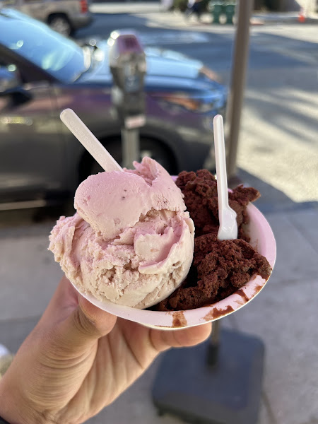 Tara's Organic Ice Cream 4