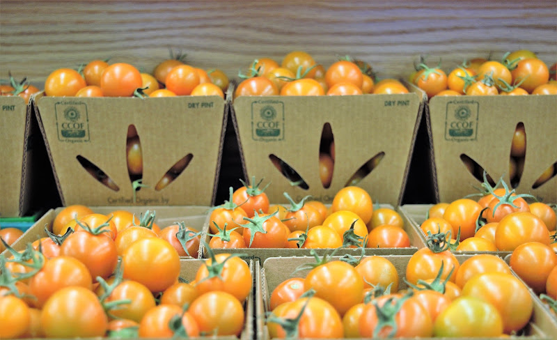 Berkeley Natural Grocery Company 4