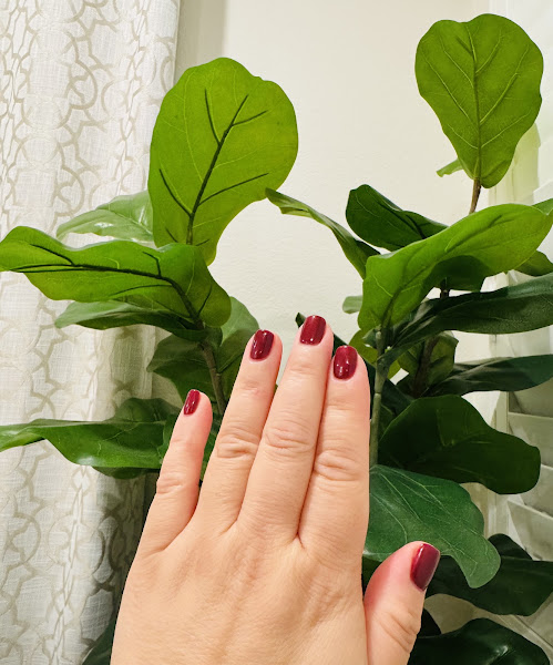Top Nail Spa 2