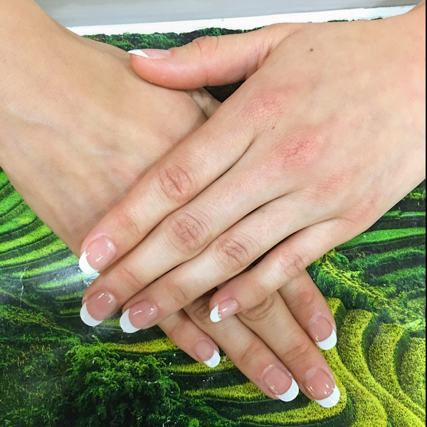 LAN Beauty Salon 2