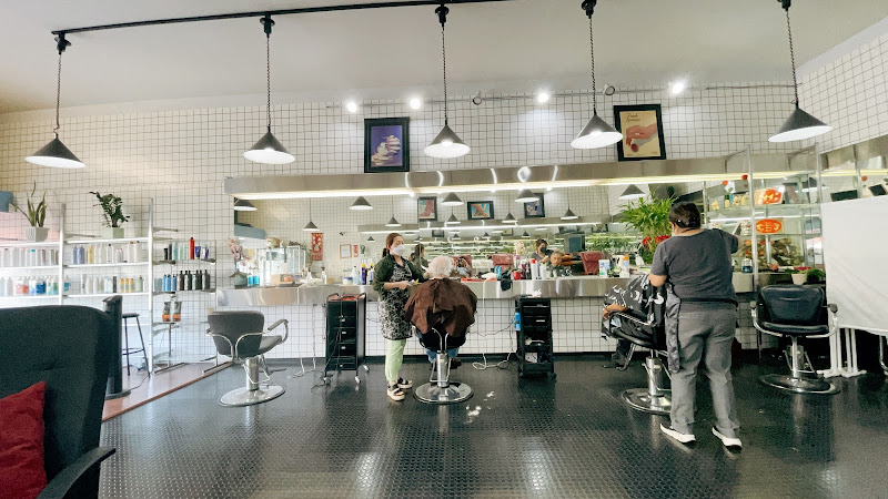 LAN Beauty Salon 4
