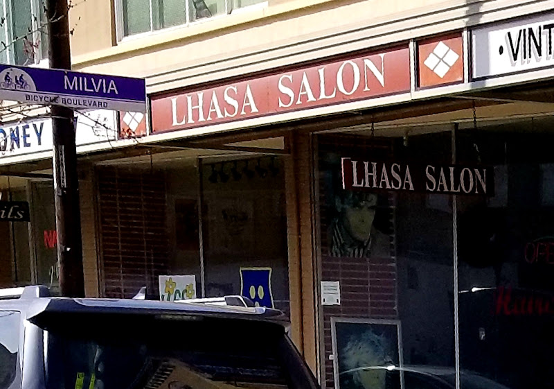 Lhasa Hair Salon 3