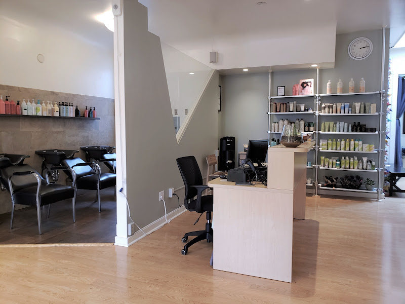 Vine Street Salon 2