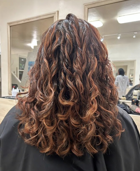 Vine Street Salon 4