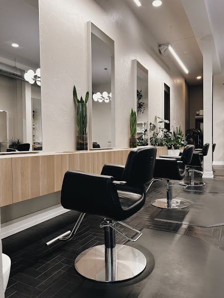 modena salon