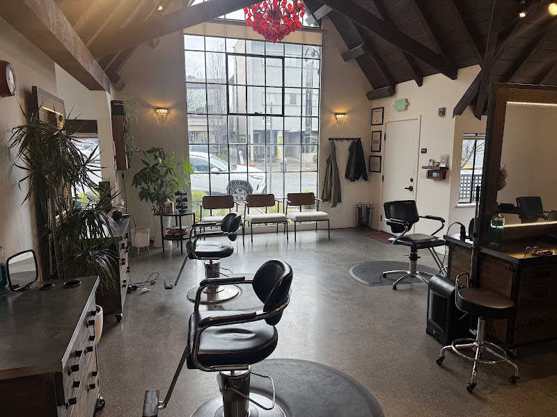 Scarlet Salon Berkeley