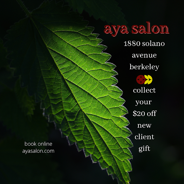 Aya Salon Berkeley
