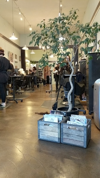 Wood Salon 2