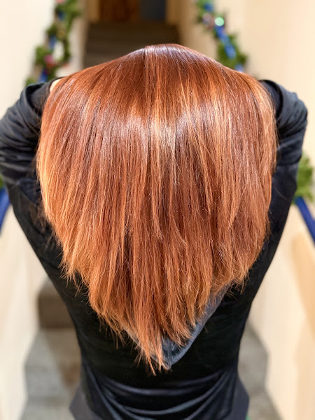Elixir Salon 3