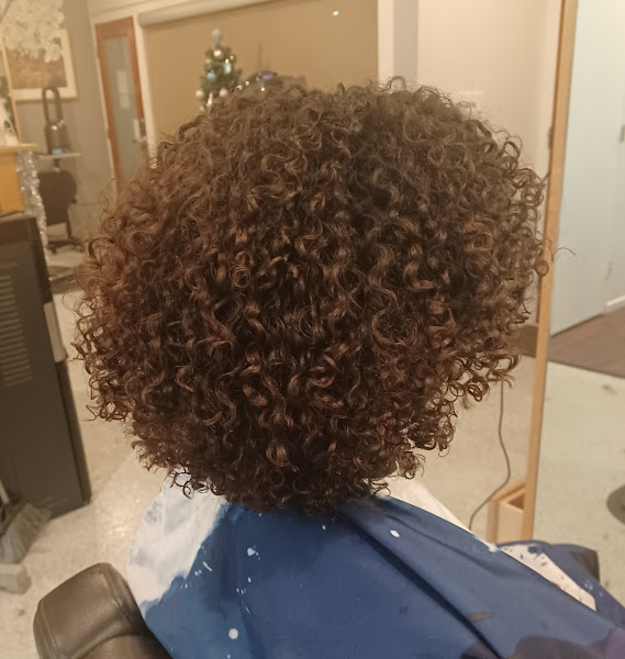 Mi Gente Dominican Salon 2