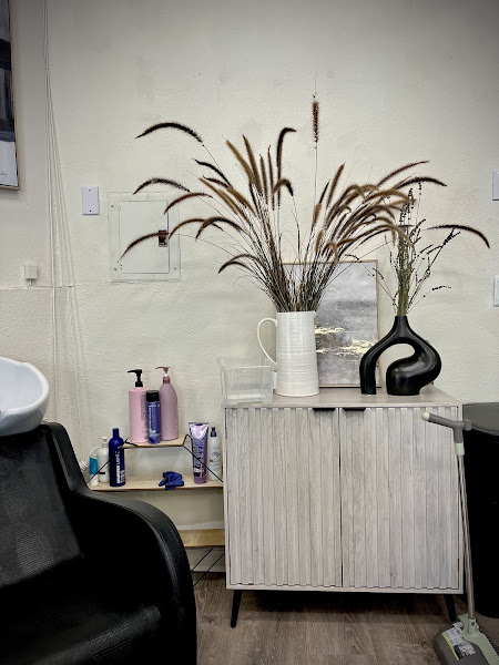 Ecocut hair salon 5