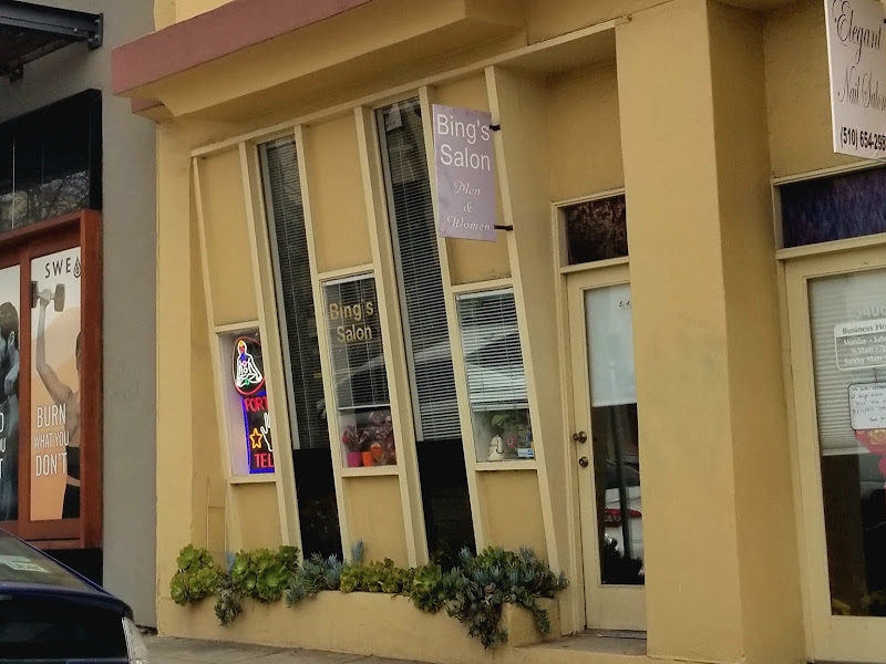 Bing's Salon 2