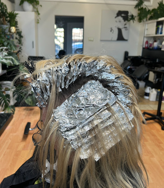 Bing's Salon 4