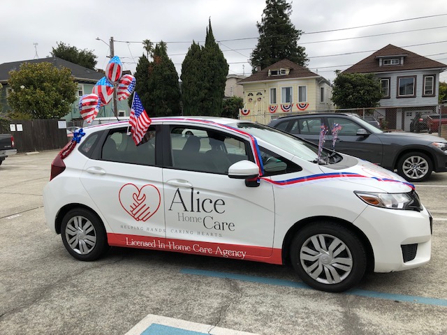 Alice Home Care 2