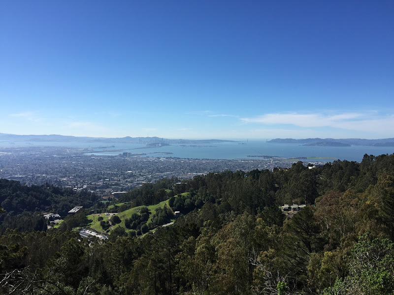 Berkeley & Beyond - Real Estate Agent