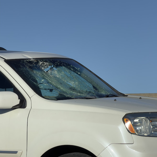 Fix Auto Berkeley 4
