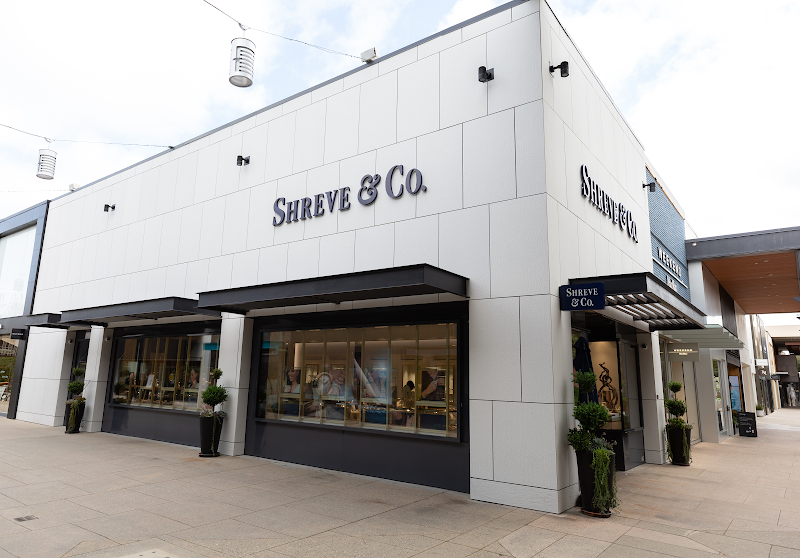 Shreve & Co. 2