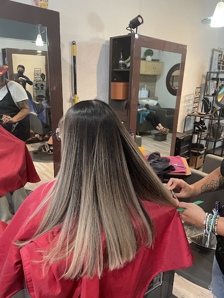 Level 5 Salon