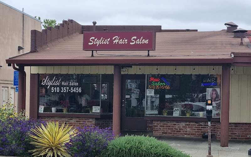 Stylist Hair Salon