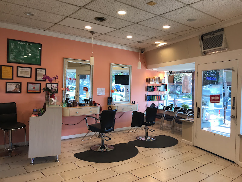 Stylist Hair Salon 2