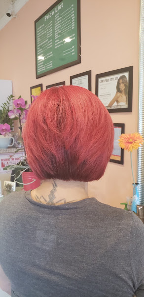 Stylist Hair Salon 4