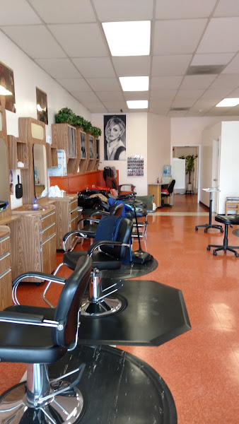 Fancy Cut 4