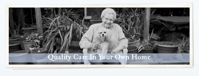 HomeAide Home Care 4