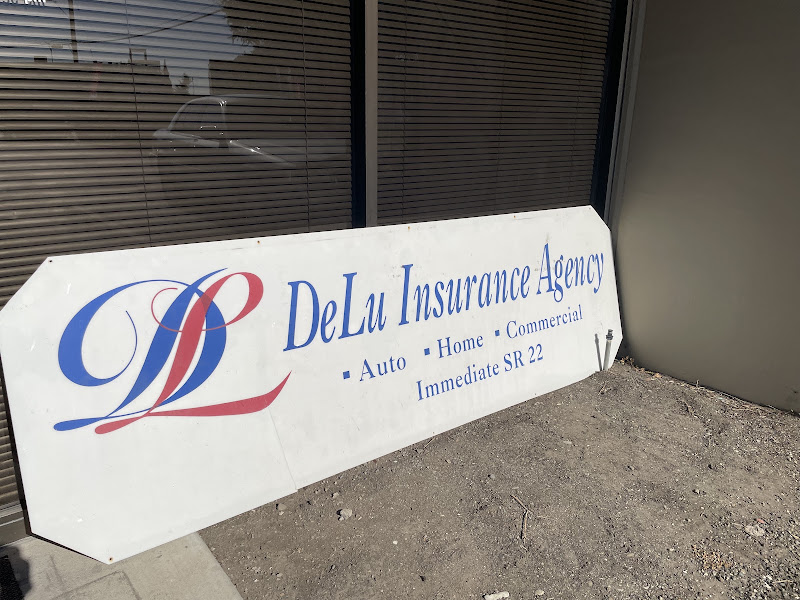 Delu Insurance Inc 2