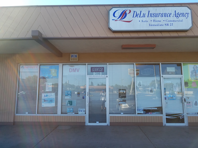 Delu Insurance Inc 3