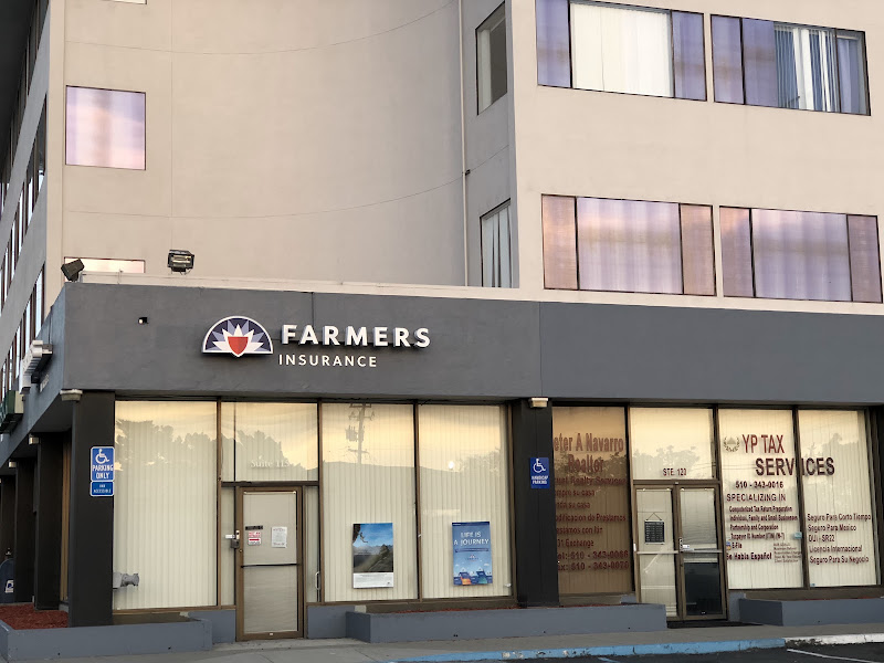 Farmers Insurance - Yannet Navill 5