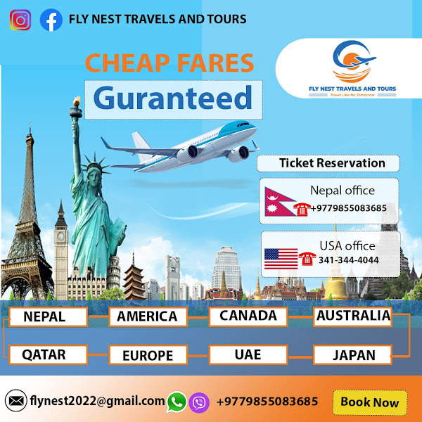 FLY NEST TRAVELS AND TOURS L.L.C.
