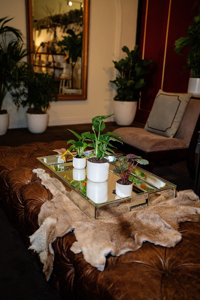The Massage Clinic