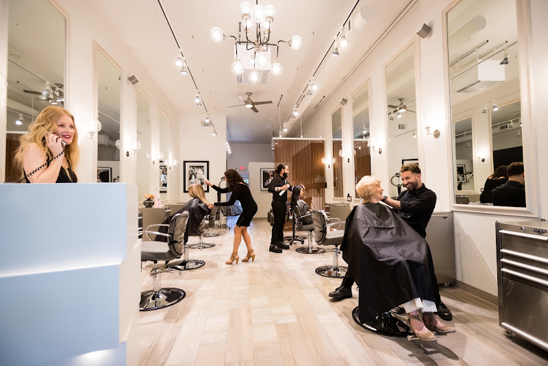 The Salon by Robert Lupo 4