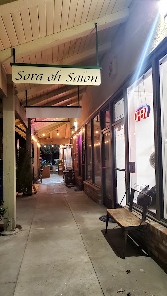 Sora Oh Salon 4