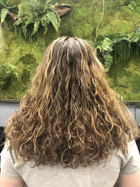 Studio M Salon 4