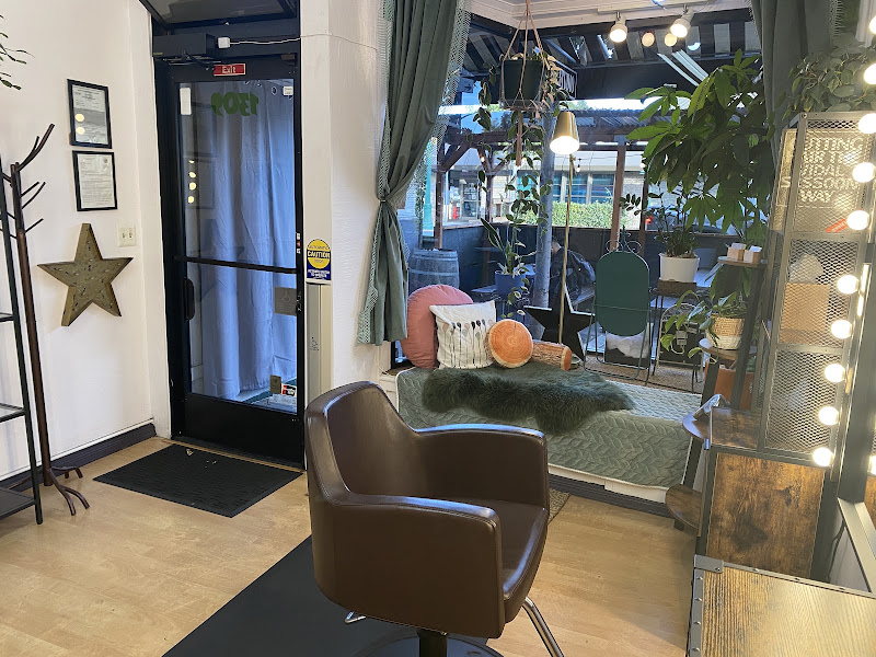 Starling Salon 3