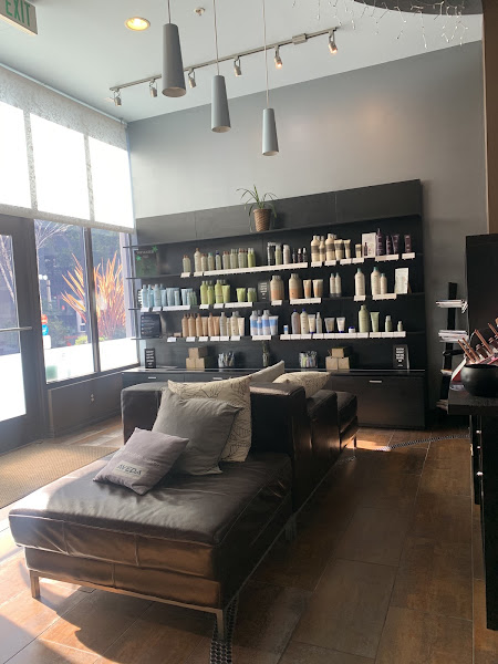 Antidote Salon 2