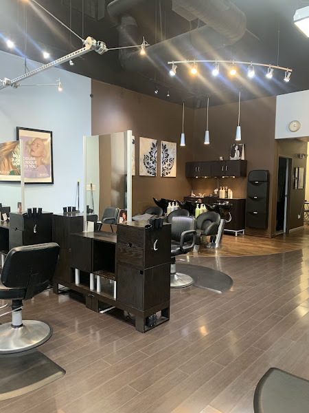 Antidote Salon 3