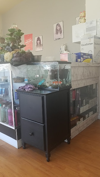 Moon Salon 4
