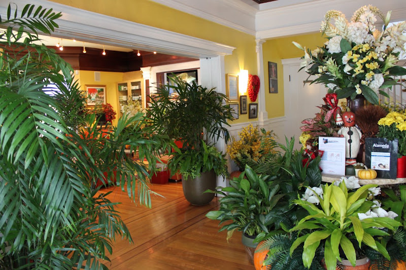 The Wellness Center: Terecita L. Dean DDS