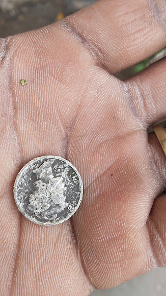 Albany Coin Exchange 5