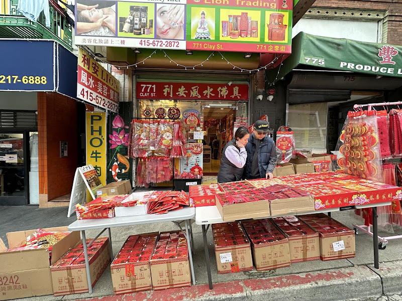 Lion Trading 2