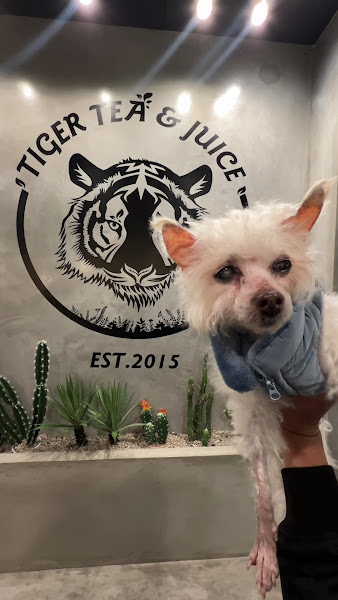 Tiger Tea & Juice 2
